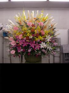 11月14日☆｜「矢島生花店」　（埼玉県久喜市の花キューピット加盟店 花屋）のブログ